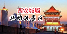 黄色干屄中国陕西-西安城墙旅游风景区